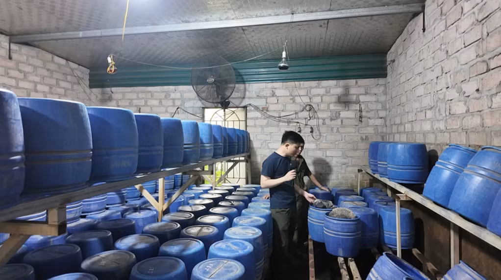 Không gian bên trong xưởng sản xuất giá đỗ sử dụng 6-BAP - chất bị cấm trong sản xuất thực phẩm, tại phường Mạo Khê. Ảnh: Quốc Xã (Công an tỉnh)