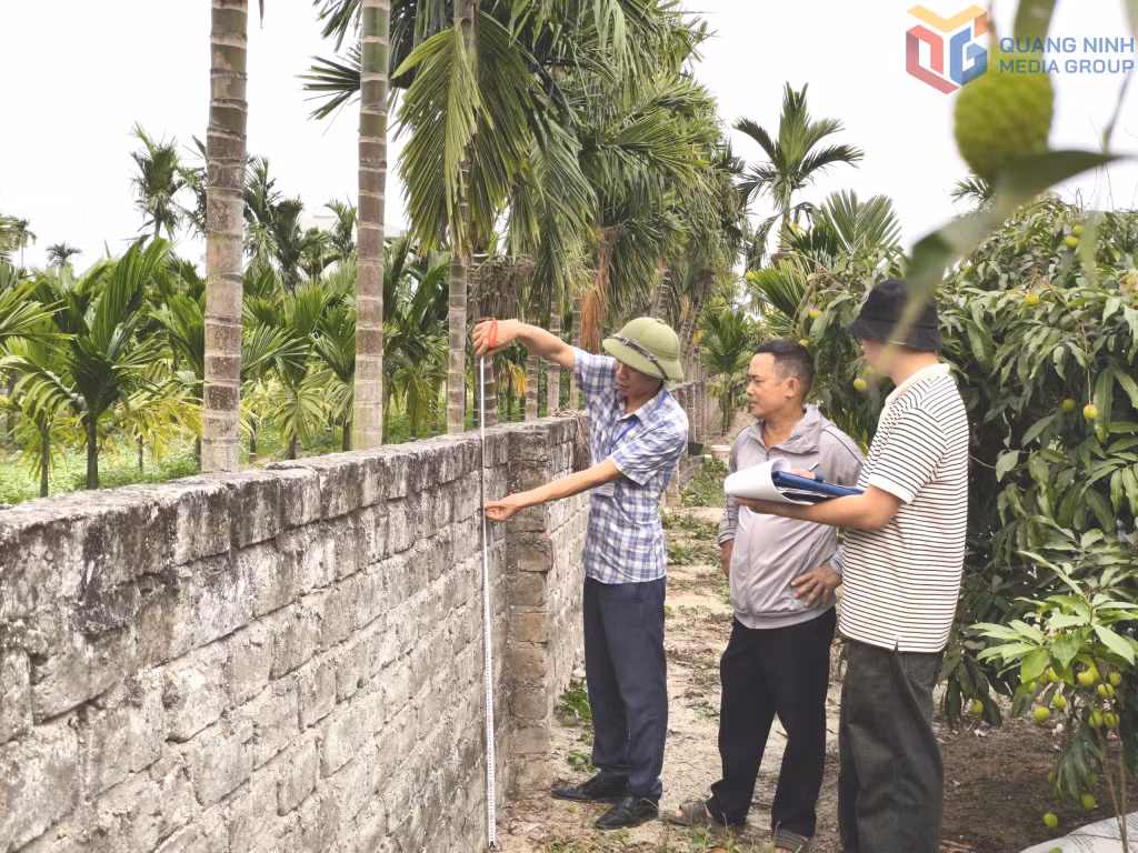 Cán bộ Trung tâm Cung ứng dịch vụ phường Yên Tử kiểm đếm tài sản trên đất của hộ dân thuộc diện GPMB thực hiện dự án.