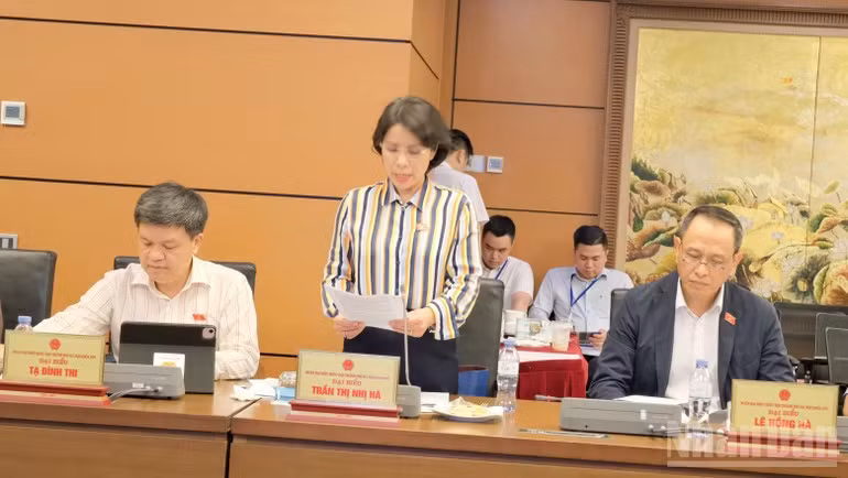 Đại biểu Trần Thị Nhị Hà (Đoàn Thành phố Hà Nội). (Ảnh: T.A)
