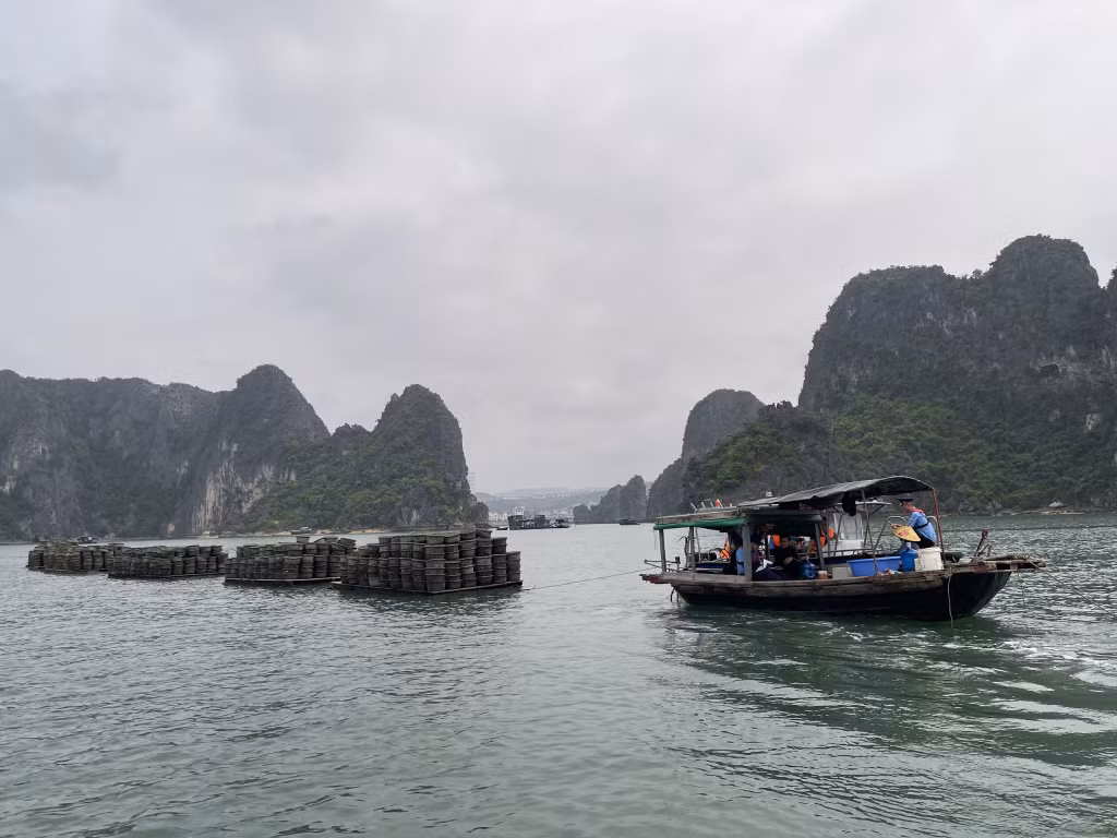 Đoàn kiểm tra phát hiện phương tiện thủy đang kéo 4 bè gỗ, phía trên chứa khoảng 1.000 lồng nhựa phục vụ nuôi trồng thủy sản trái phép trên Vịnh Hạ Long.