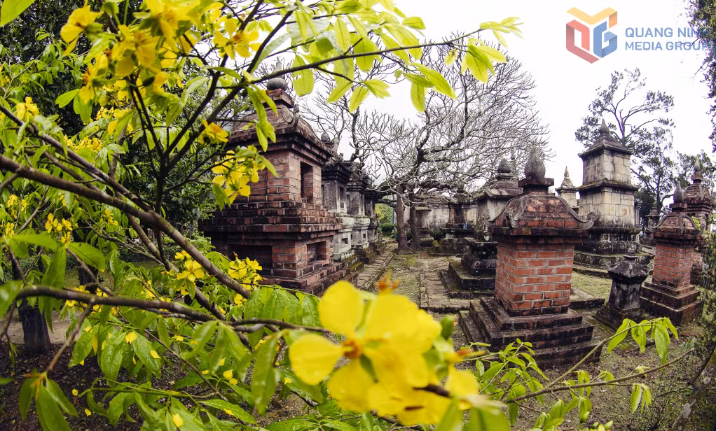 Những chùm hoa mai bung nở bên những tháp cổ trầm mặc, gợi nhắc về dòng chảy thời gian và sự tiếp nối của các giá trị văn hóa.