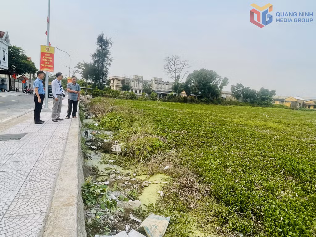 Chính quyền địa phương kiểm tra hiện trạng tại khu vực ao do Công ty CP Thuỷ sản 2 quản lý tại khu phố 10, phường Quảng Yên.