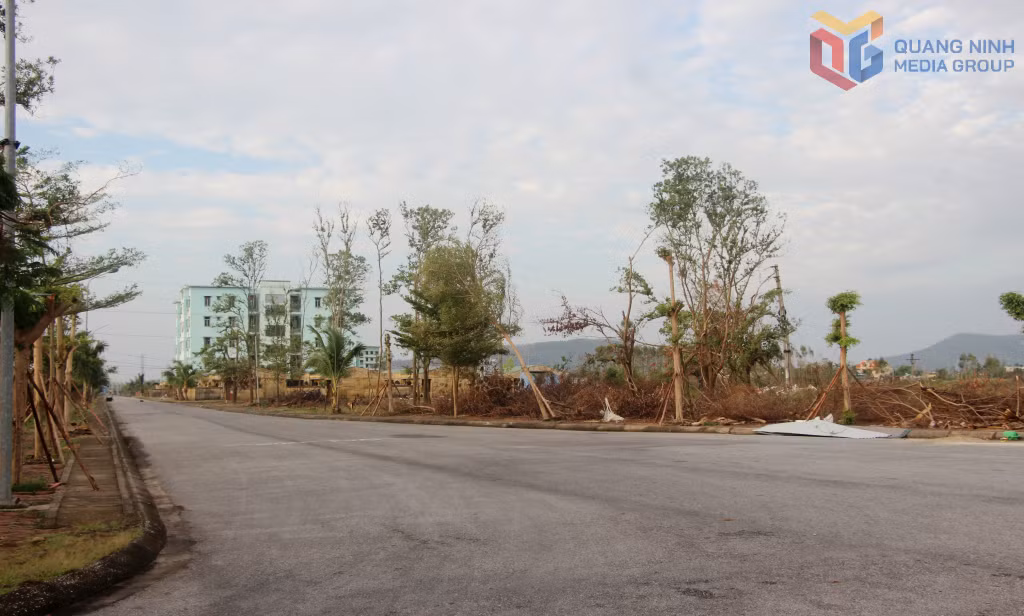 Dự án Trường Đại học Công nghiệp Quảng Ninh (cơ sở 2) giai đoạn 2 đang chậm đầu tư so với kế hoạch đề ra.