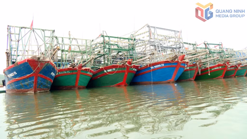 Tàu, thuyền đậu tại Cảng cá Tiến Tới (xã Đường Hoa).