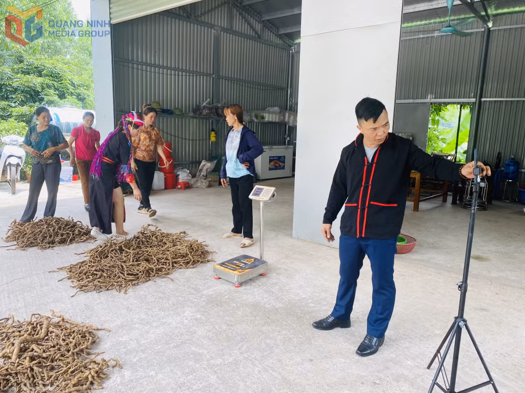 Anh Lý Văn Bằng (xã Hải Lạng) livestream bán hàng qua mạng.