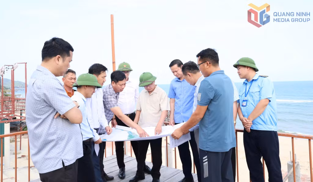 Đồng chí Cao Tường Huy, Bí thư Đảng ủy, Chủ tịch HĐND đặc khu Vân Đồn, kiểm tra dự án Trồng rừng và Phát triển du lịch sinh thái của Công ty TNHH MTV Dịch vụ du lịch VIT Hạ Long tại đảo Quan Lạn chậm triển khai đầu tư.