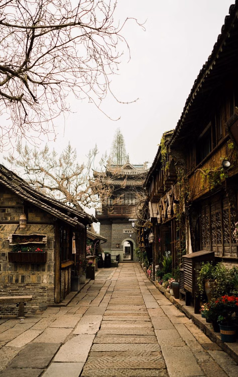 Một lối đi bộ trong Ô Trấn. Ảnh: Minh Nhã