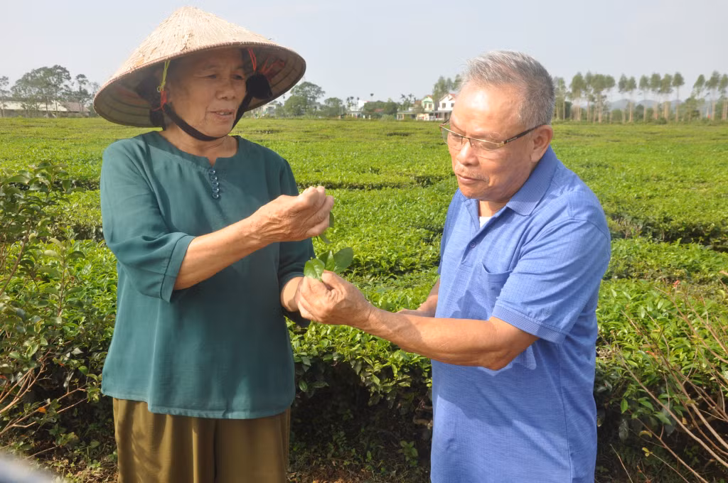 Ông Vũ Xuân Triệu, nguyên Giám đốc Công ty CP Chè Đường Hoa giai đoạn 2005-2008, trò chuyện với bà con vùng chè xã Quảng Long.