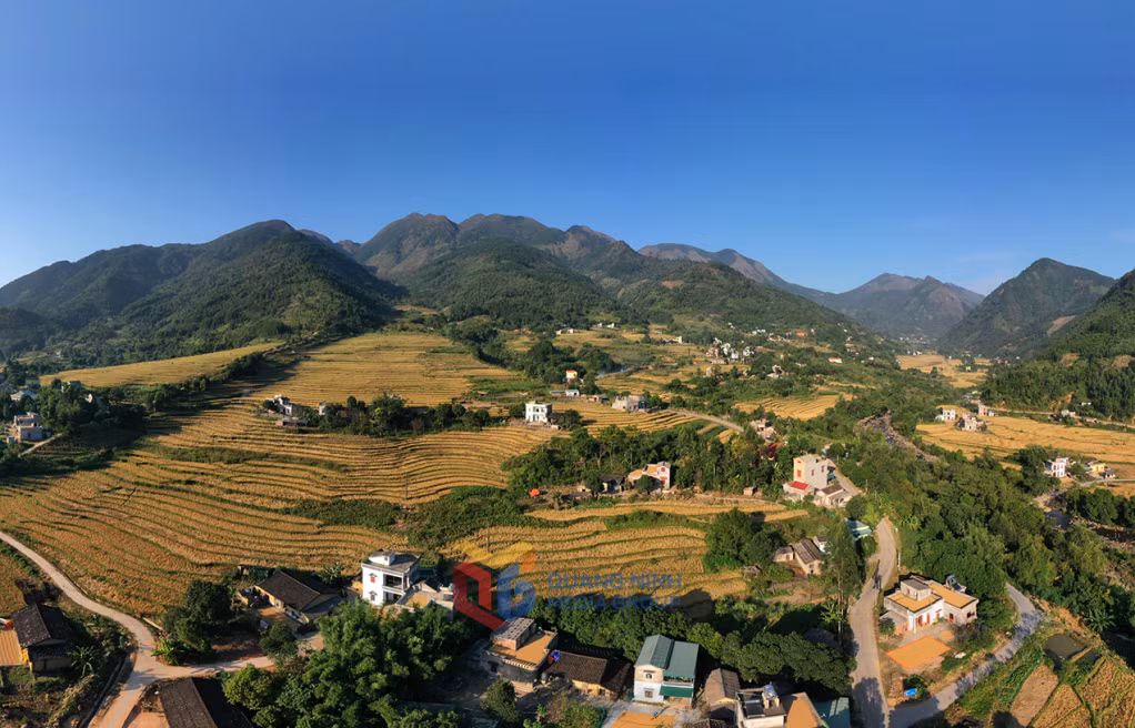 Mùa vàng tại Húc Động Bình Liêu, anh giang, bình liêu