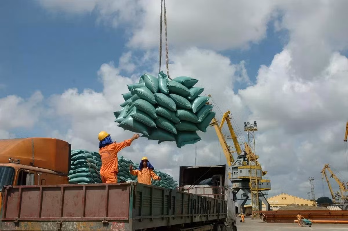 Xuất khẩu gạo là điểm sáng trên bức tranh kinh tế