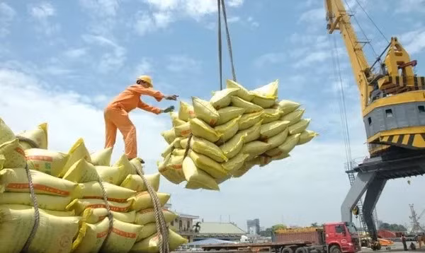 Xuất khẩu gạo có thể vượt kỷ lục của năm 2023 - Ảnh 1.
