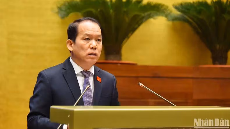 Chủ nhiệm Ủy ban Pháp luật Hoàng Thanh Tùng trình bày báo cáo thẩm tra. (Ảnh: THỦY NGUYÊN)