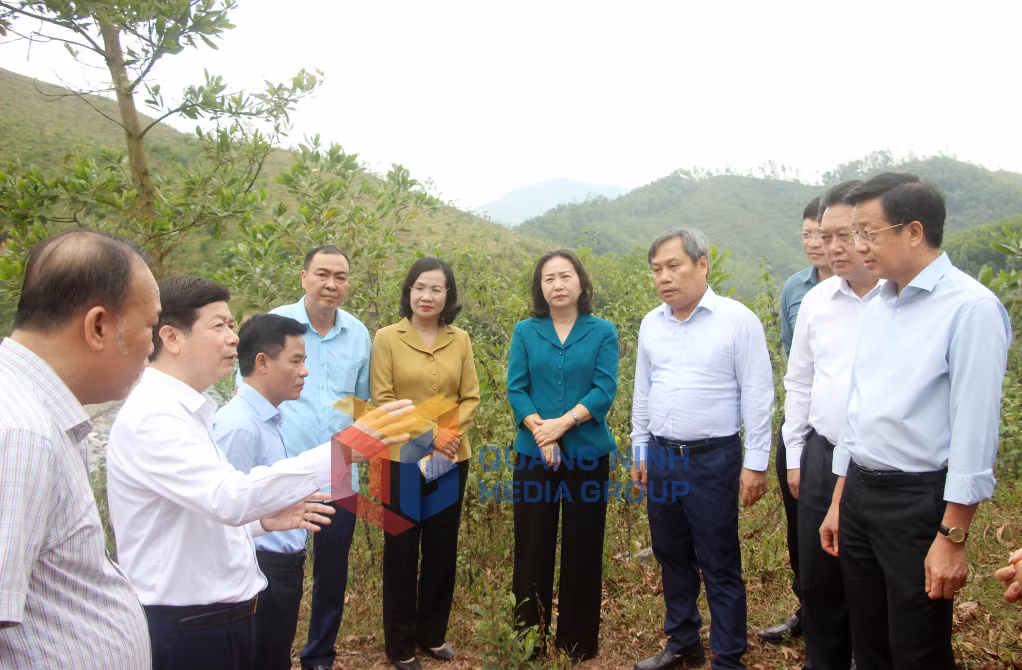 Đồng chí Vũ Đại Thắng, Ủy viên Trung ương Đảng, Bí thư Tỉnh ủy, nghe lãnh đạo huyện báo cáo về những thiệt hại do bão số 3 gây ra đối với diện tích rừng trên địa bàn huyện.