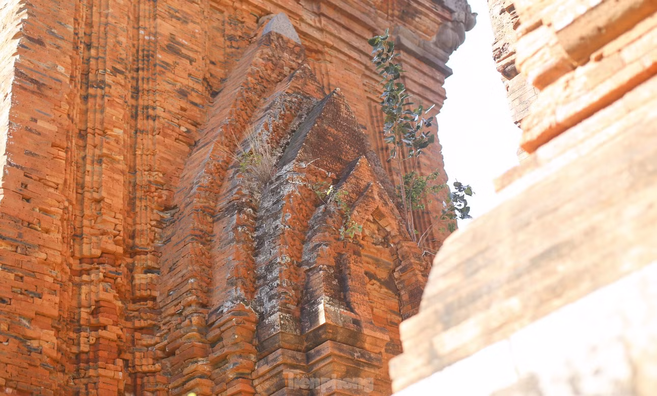 Những hoa văn trên tháp. Ảnh: Trương Định.