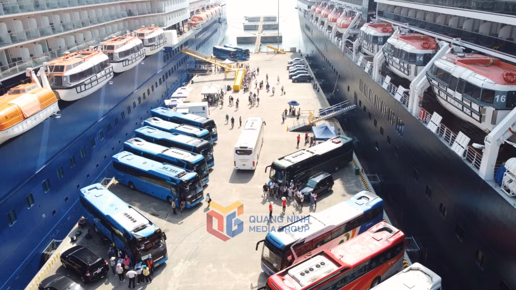 Các đơn vị lữ hành tấp nập đưa đón khách tàu biển đi tham quan những điểm đến nổi tiếng của Quảng Ninh. 