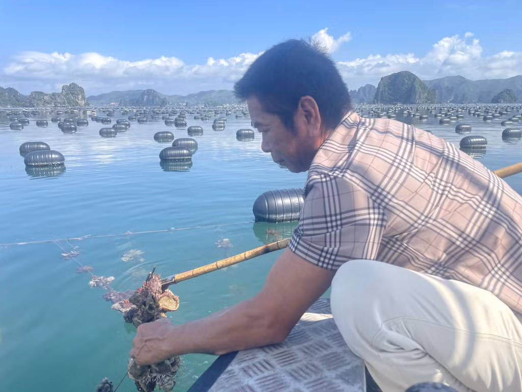 Người dân Vân Đồn đồng thuận chuyển đổi sử dụng vật liệu nổi trong NTTS theo quy chuẩn kỹ thuật địa phương.