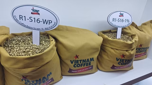 Cà phê Robusta Việt Nam đang ở vùng giá cao nhất trong lịch sử