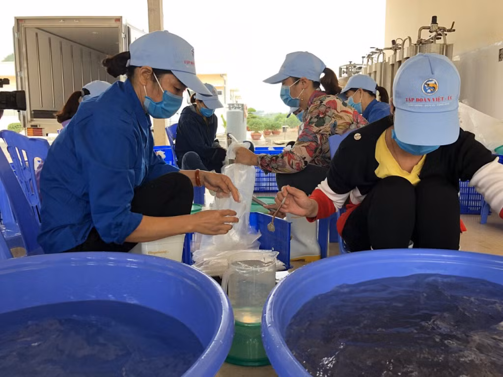 Công ty TNHH Thủy sản Việt Úc - Quảng Ninh tạo nhiều việc làm cho lao động tại địa phương.