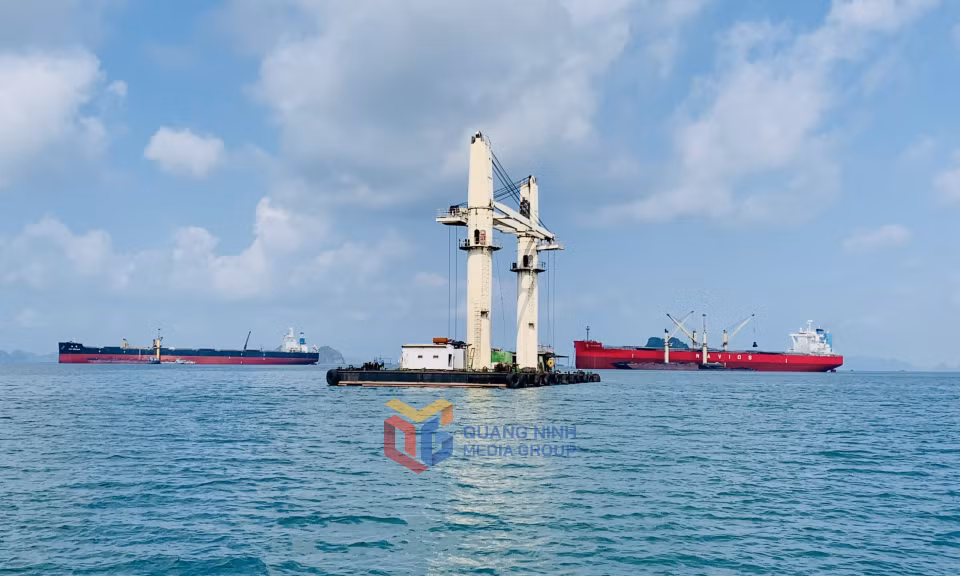 Tổng công suất khai thác khu neo đậu chuyển tải tại khu vực cảng Con Ong - Hòn Nét đạt khoảng 76,64 triệu tấn/năm. Ảnh: Mạnh Trường