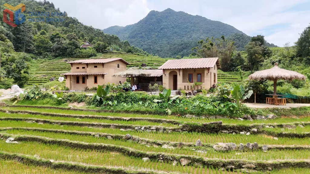 Homestay