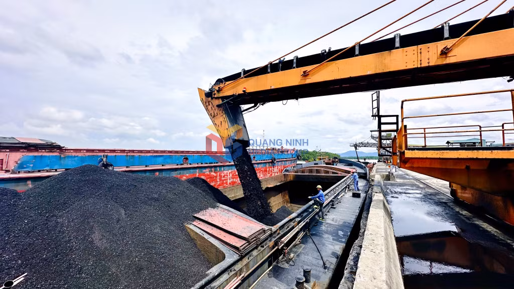 Than do TKV sản xuất đảm bảo chất lượng theo yêu cầu thị trường.