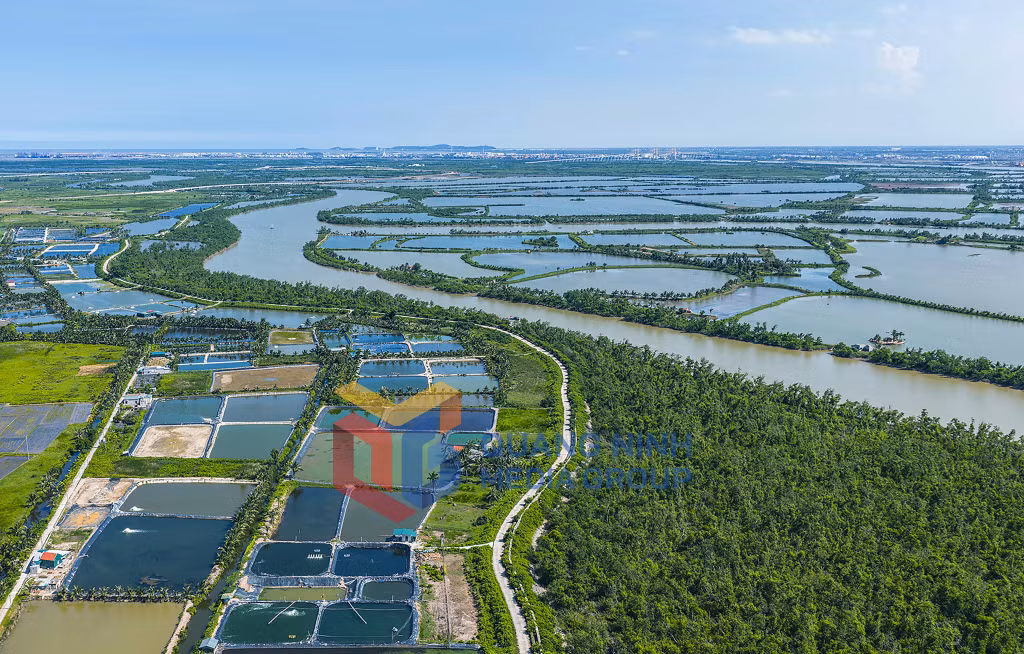 Con sông Chanh uốn lượn mềm mại qua đảo, tạo nên nét đẹp thơ mộng, trữ tình cho vùng đất có địa hình thấp hơn mực nước biển (8-2025). Ảnh: Đỗ Giang