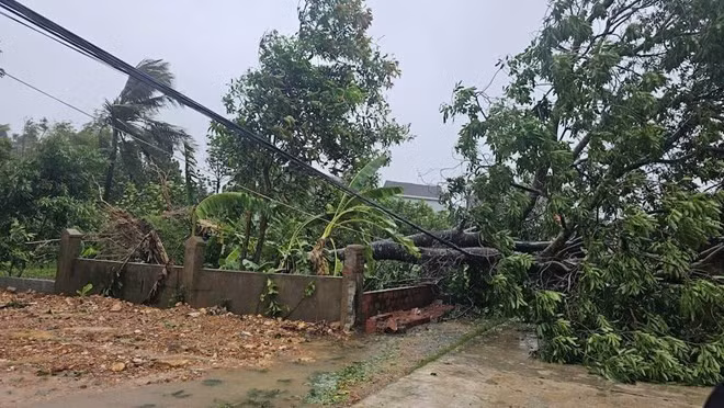 Thống kê ban đầu, thiệt hại do bão số 5 gây ra tại Hà Tĩnh là rất lớn. Ảnh: Trần Tuấn
