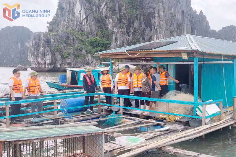 Đồng chí Nghiêm Xuân Cường, Phó Chủ tịch HĐND tỉnh kiểm tra thực tế tình hình nuôi trồng thủy sản trên biển tại phường Hà An.
