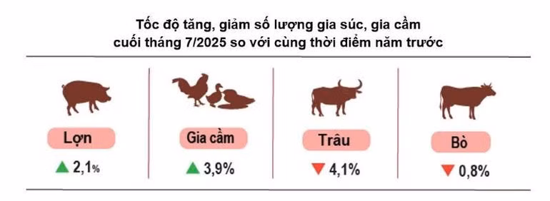 NGUỒN: GSO