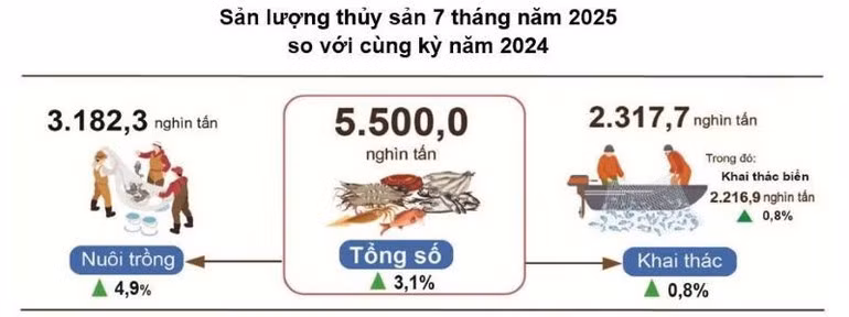 NGUỒN: GSO