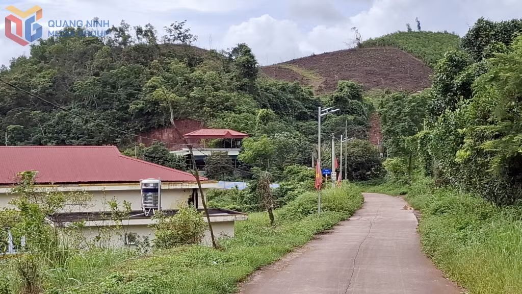 Tuyến đường trục chính của thôn Đài Van (đặc khu Vân Đồn) được cải tạo lắp mới hệ thống điện chiếu sáng.