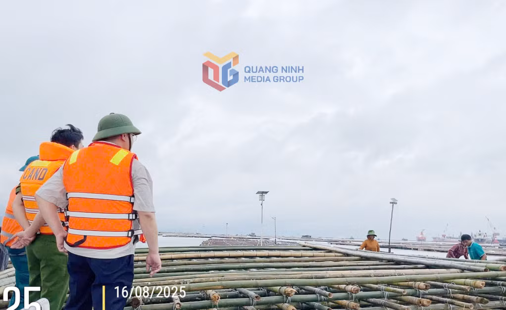 Phường Hà An sẽ kiên quyết xử lý nghiêm những trường hợp vi phạm, không để tình trạng NTTS tự phát, lấn chiếm hành lang an toàn đường thủy nội địa.
