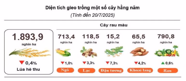 NGUỒN: GSO