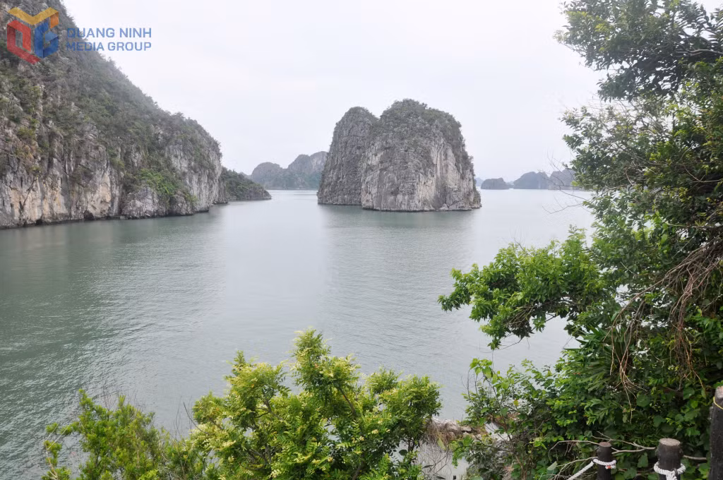 Vẻ đẹp khu vực Hang Cỏ trên Vịnh Hạ Long.