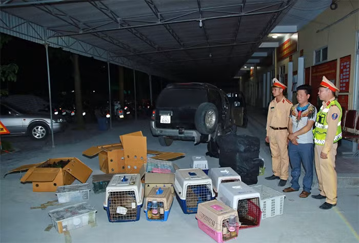 Qua kiểm tra, lực lượng chức năng phát hiện 21 thùng hàng chứa 420 cá thể động vật hoang dã quý hiếm còn sống.