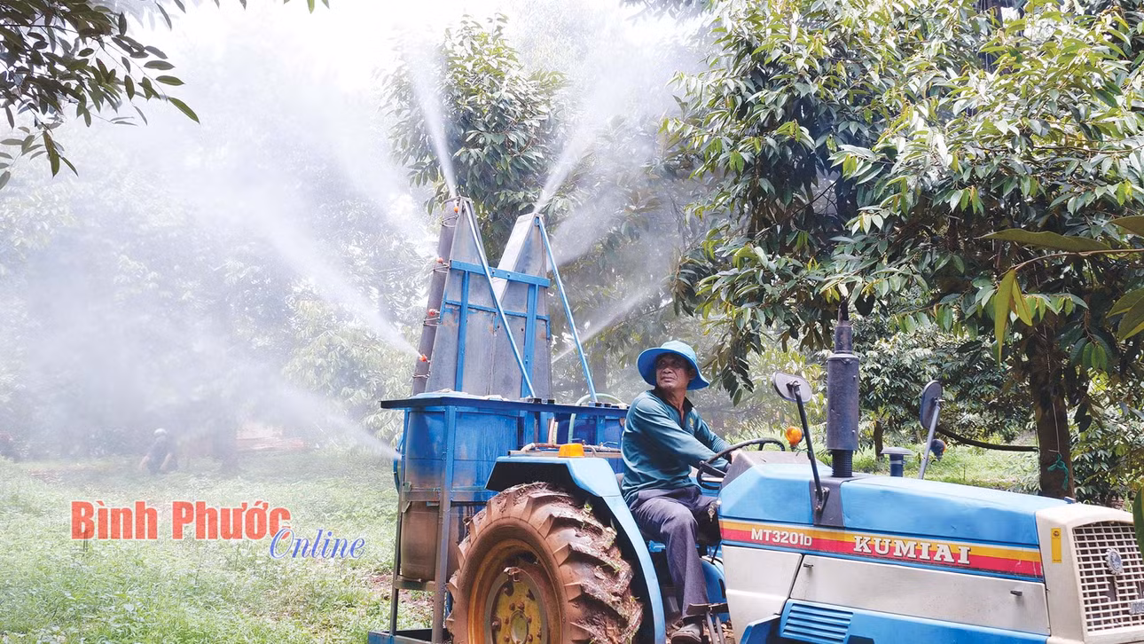 Nhà nông Nguyễn Duy Hoàn, Giám đốc Hợp tác xã cây ăn trái Tiến Thịnh (xã Phước Tân, huyện Phú Riềng, tỉnh Bình Phước) tự sáng chế máy phun thuốc cho cây sầu riêng