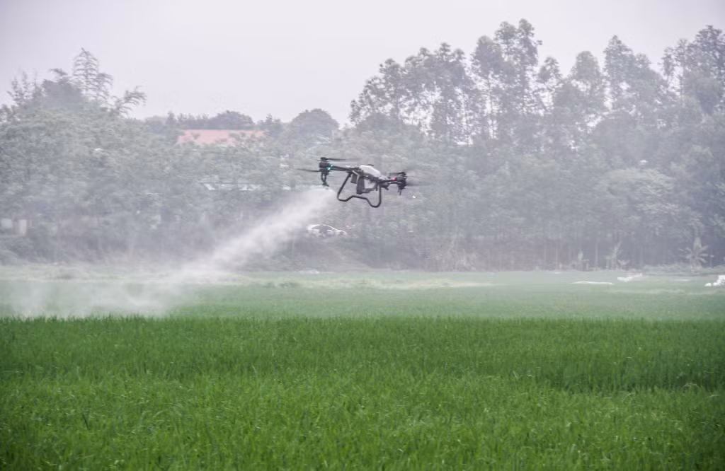 Sử dụng thiết bị bay không người lái trong phun thuốc bảo vệ thực vật tại xã Việt Dân, TX Đông Triều. Ảnh: Cổng TTĐT Đông Triều.