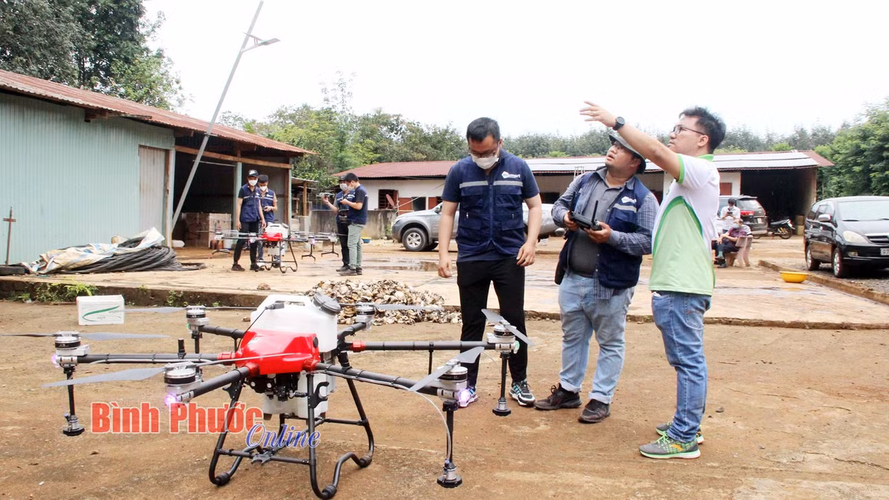 Anh Đặng Dương Minh Hoàng (bìa phải) cùng các kỹ sư quan sát và kiểm tra máy bay không người lái trước khi phun thuốc trên vườn cây tại nông trại