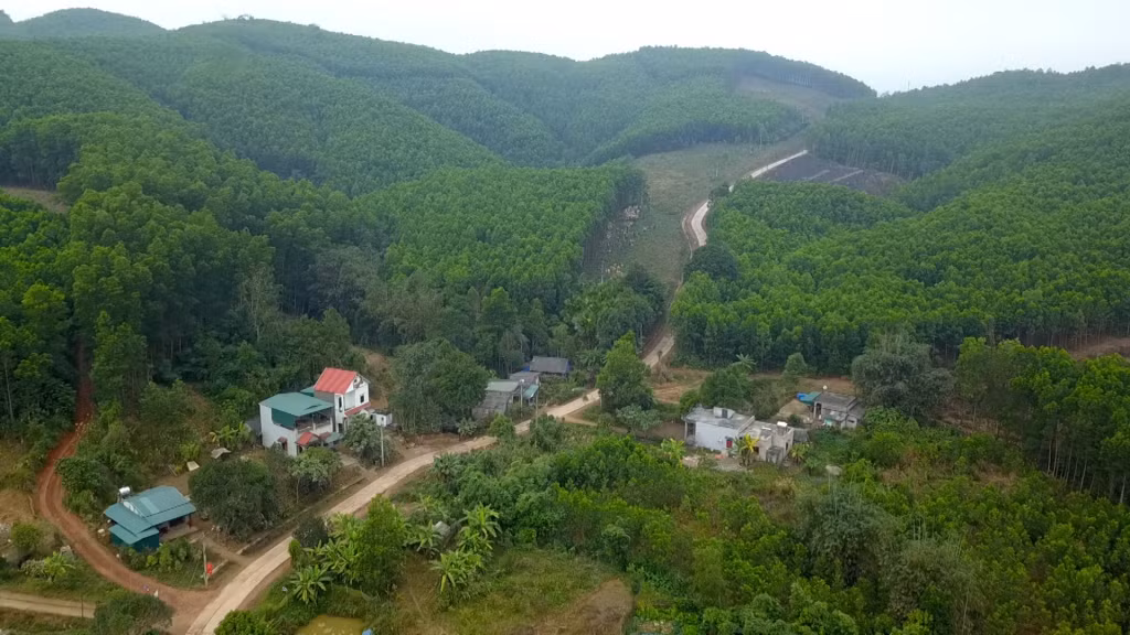 Hạ tầng giao thông được đầu tư giúp người dân xã Lương Mông (huyện Ba Chẽ) phát triển kinh tế rừng.