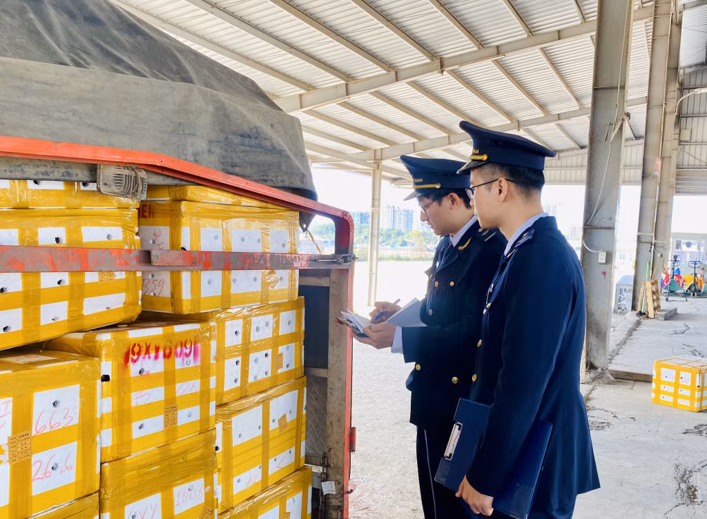 Công chức Chi cục Hải quan Cửa khẩu Móng Cái kiểm tra hàng hóa nhập khẩu tại bãi kiểm hóa Cửa khẩu cầu Bắc Luân II.