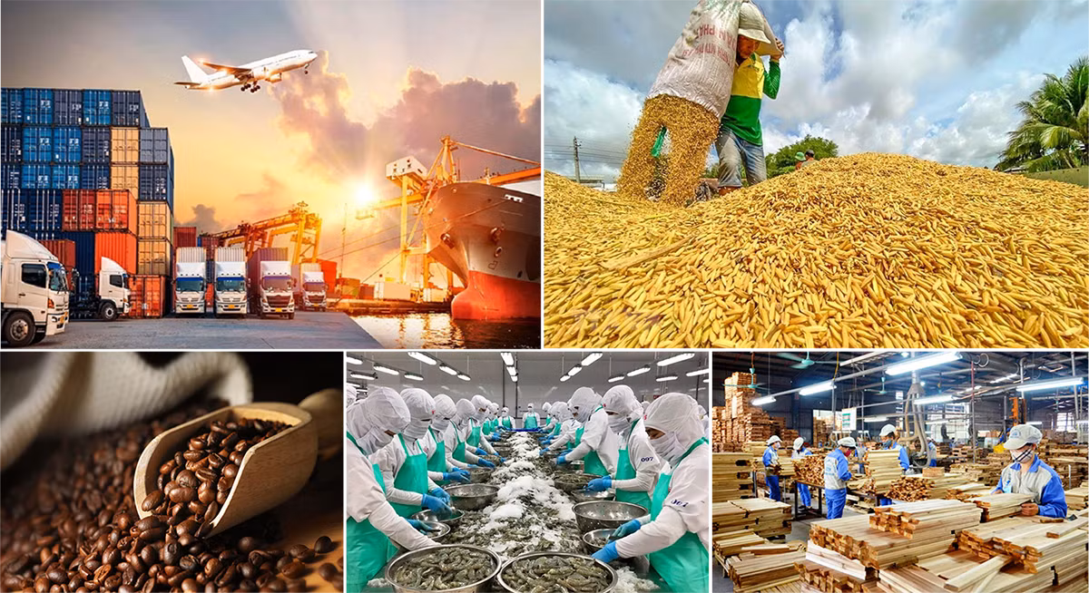 Bức tranh sáng nhất, xuất nhập khẩu năm 2024 dự báo đạt trên 790 tỷ USD ảnh 1