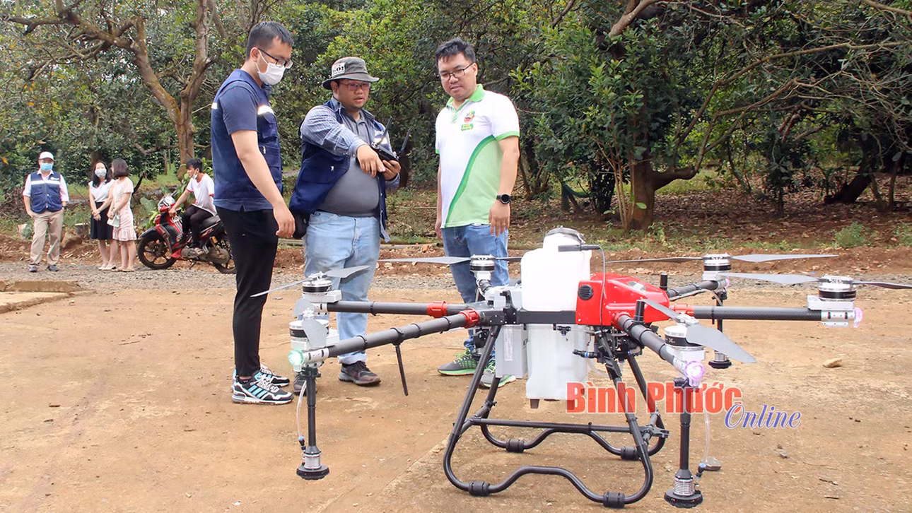 Bình Phước: Khát vọng vươn tầm nông sản Việt ảnh 3