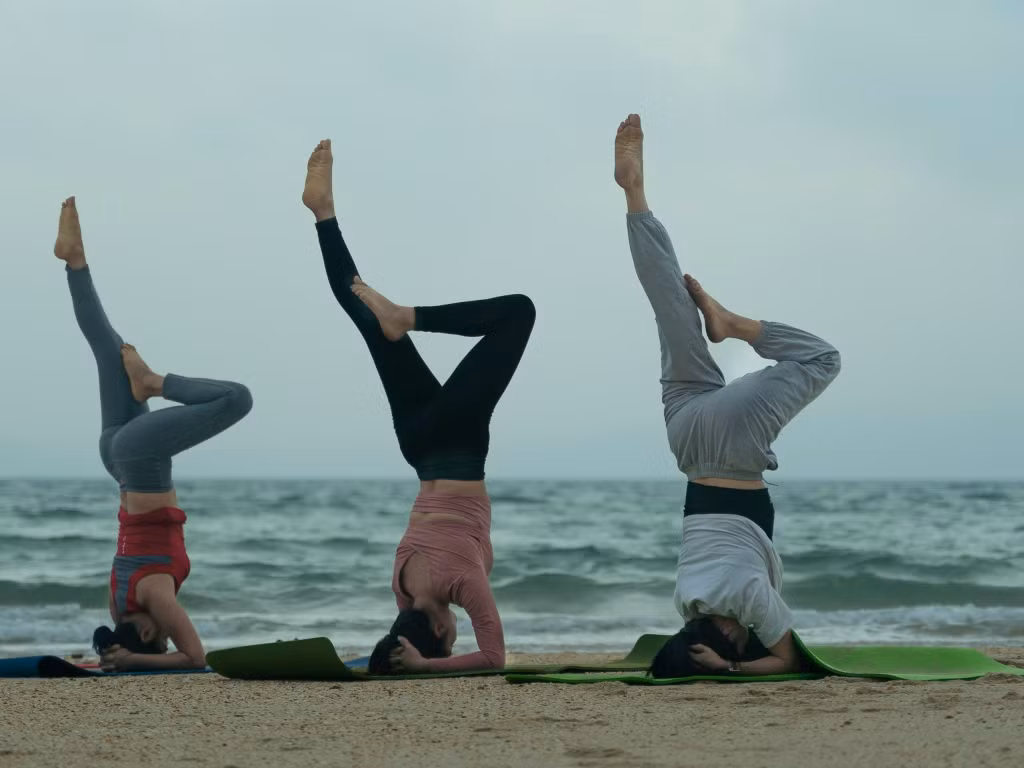 Du lịch chữa lành là một trong những sản phẩm du lịch mới được các doanh nghiệp liên kết tổ chức tại Cô Tô.