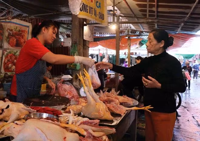 Các công đoạn vận chuyển và giết mổ gia cầm tuyệt đối tuân thủ các biện pháp dự phòng dịch bệnh thường quy. (Ảnh: Thanh Thương/TTXVN)