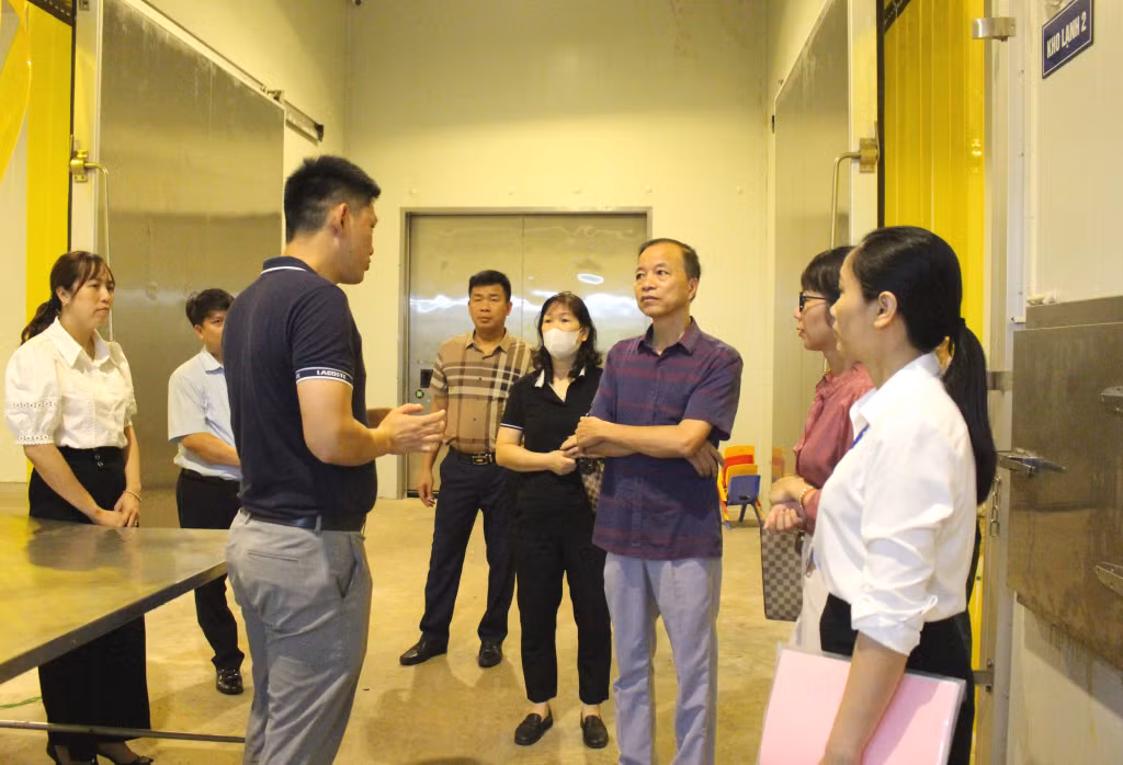 Đoàn Kiểm tra liên ngành của tỉnh về công tác ATTP kiểm tra thực tế tại Công ty CP SEAGOLD (xã Đầm Hà).