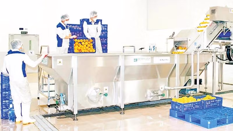 Dây chuyền sản xuất của Nhà máy chế biến hoa quả tươi và thảo dược tươi Vân Hồ, huyện Vân Hồ, tỉnh Sơn La. (Ảnh MẠNH HỒNG)