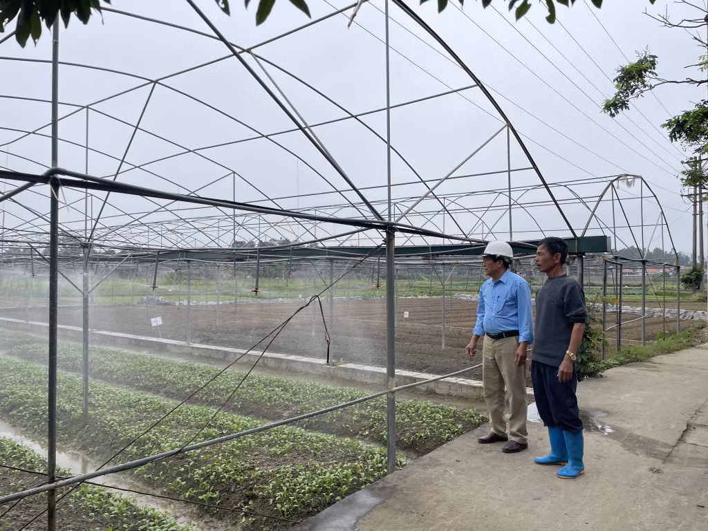 Diện tích rau an toàn sử dụng công nghệ G-tex của Công ty CP Đầu tư và Xây dựng Việt Long.