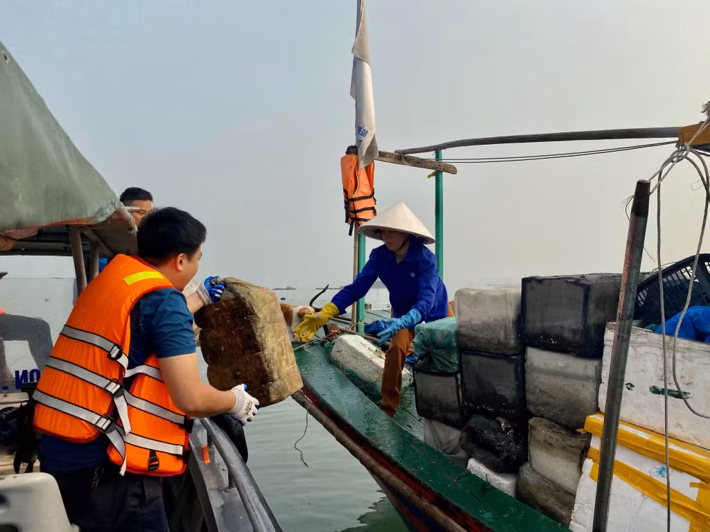 Sau khi thu gom, phao xốp sẽ được chuyển sang tàu của Công ty CP cây xanh công viên Quảng Ninh.
