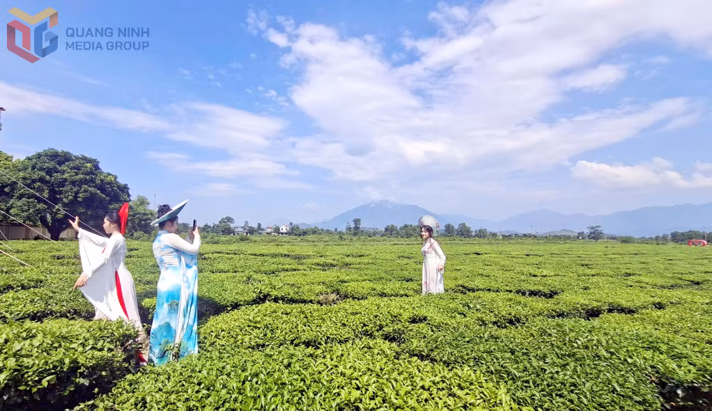Người dân, du khách chụp ảnh check-in trên những đồi chè xanh mát.