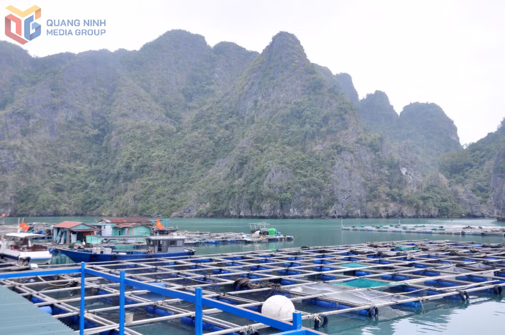 Vân Đồn giàu tiềm năng cho du lịch trải nghiệm gắn với những vùng nuôi trồng thủy sản rộng lớn trên địa bàn.